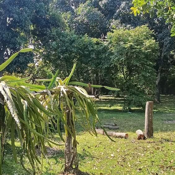 Studio property in Denpasar — photo 1