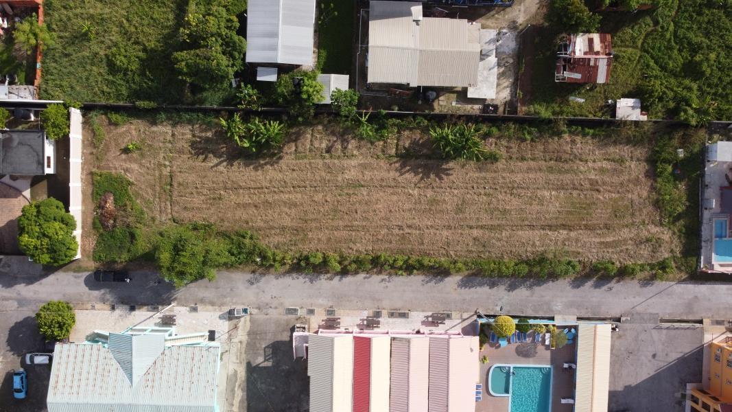 Mayaro Beach View Land For Sale — photo 5