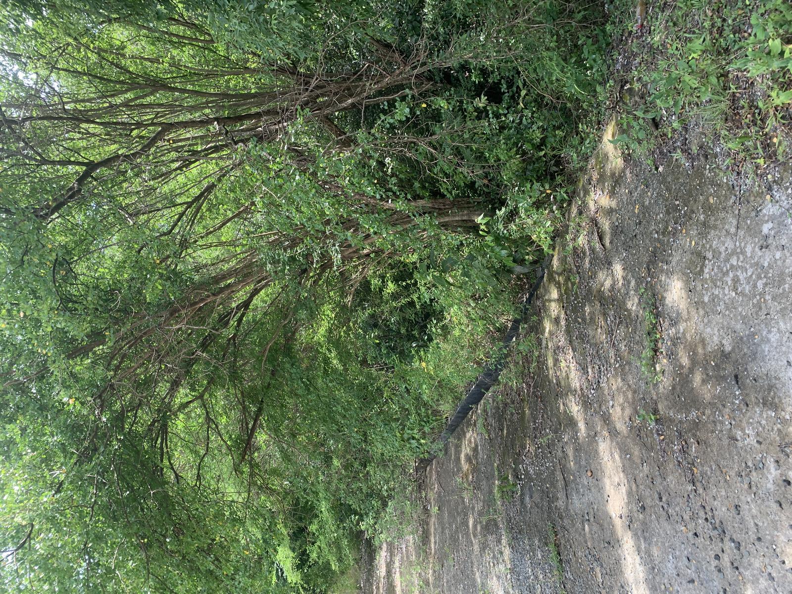 Affordable Land with Views in Growing Monchy Neighbourhood — photo 1