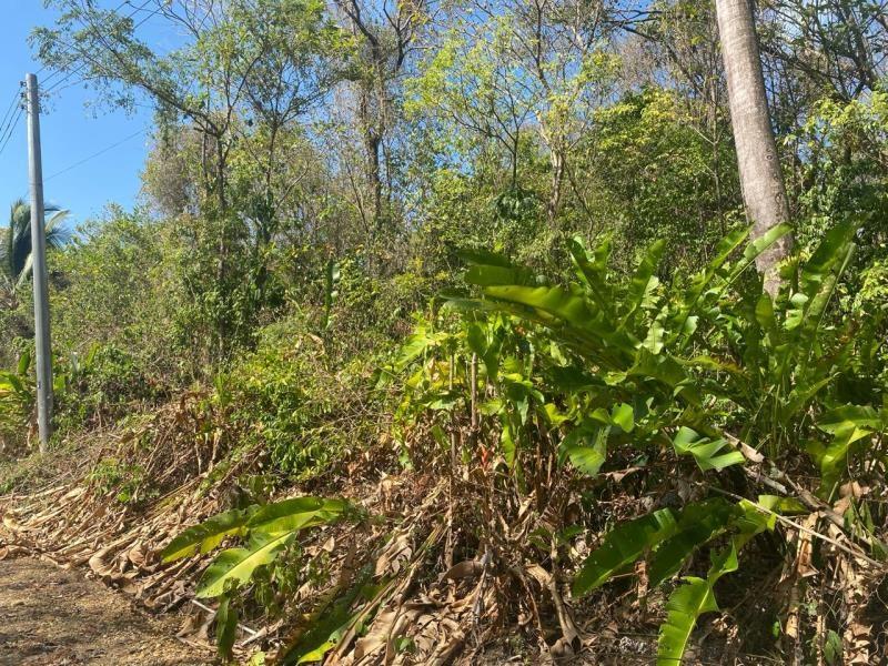 Residential Land For Sale at Manzanilla — photo 4