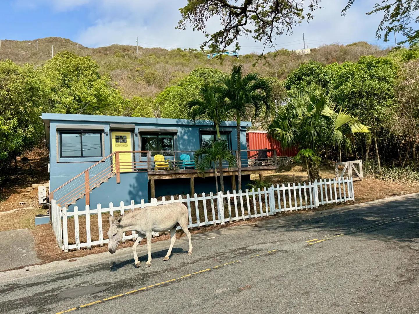 32 Freemans Ground, St John Island, US Virgin Islands — photo 4