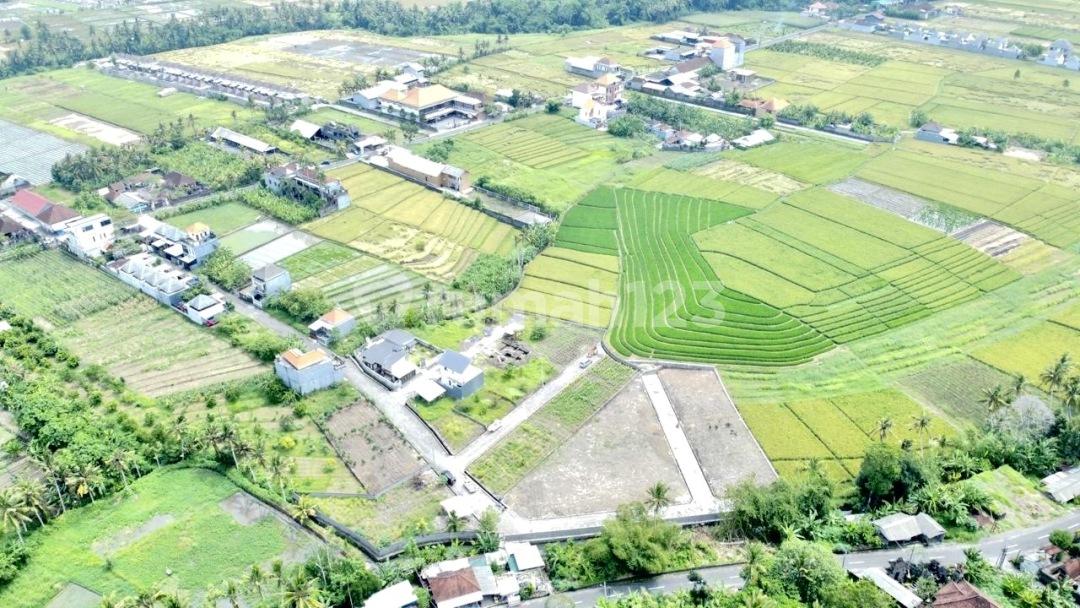 Land for sale in Tabanan with rice field views — photo 1
