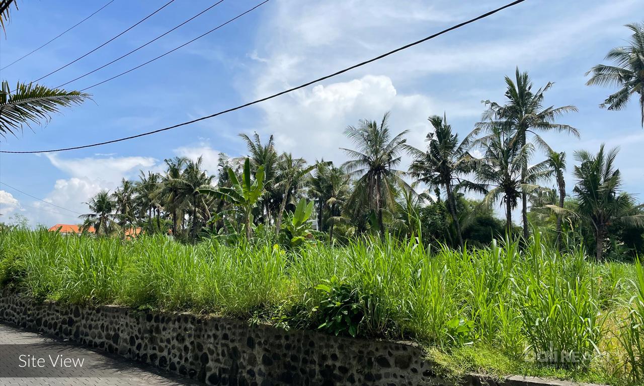 Pantai Saba Beachside Land - 2237 — photo 4