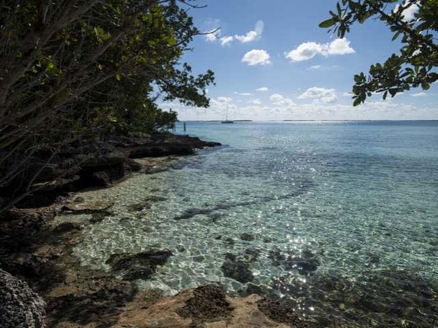 THE REACH in Abaco Islands, The Bahamas — photo 3