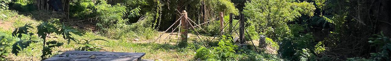 Premium Investment: 3710 sqm Freehold Riverfront Land in Padang Galak, Sanur — photo 2