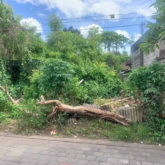 Land in Denpasar — photo 1