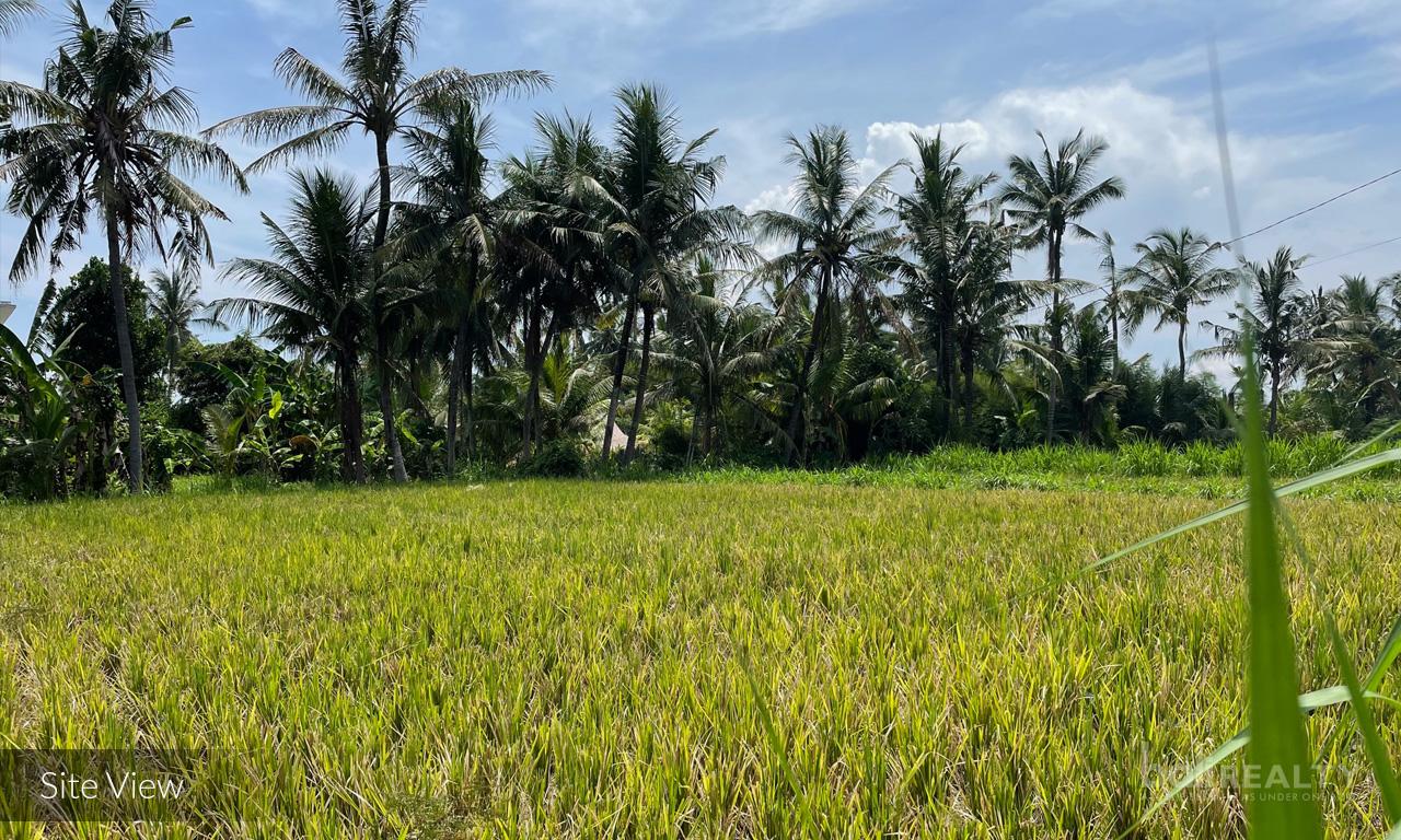 Pantai Saba Beachside Land - 2237 — photo 1