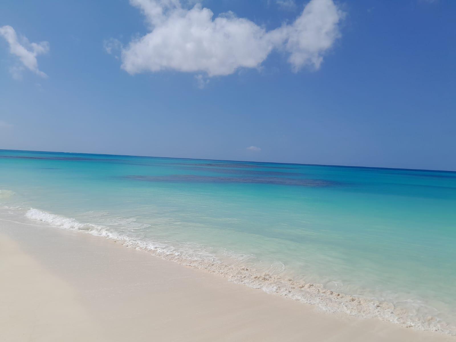 BIMINI 179 ACRE PARCEL — photo 5
