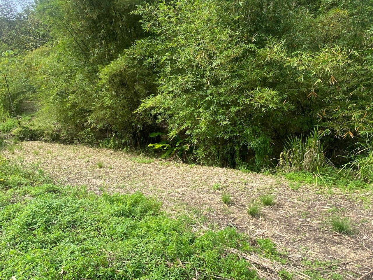 Approved Plot for Sale (6,383 sq ft) - Guaracara Tabaquite Road — photo 1