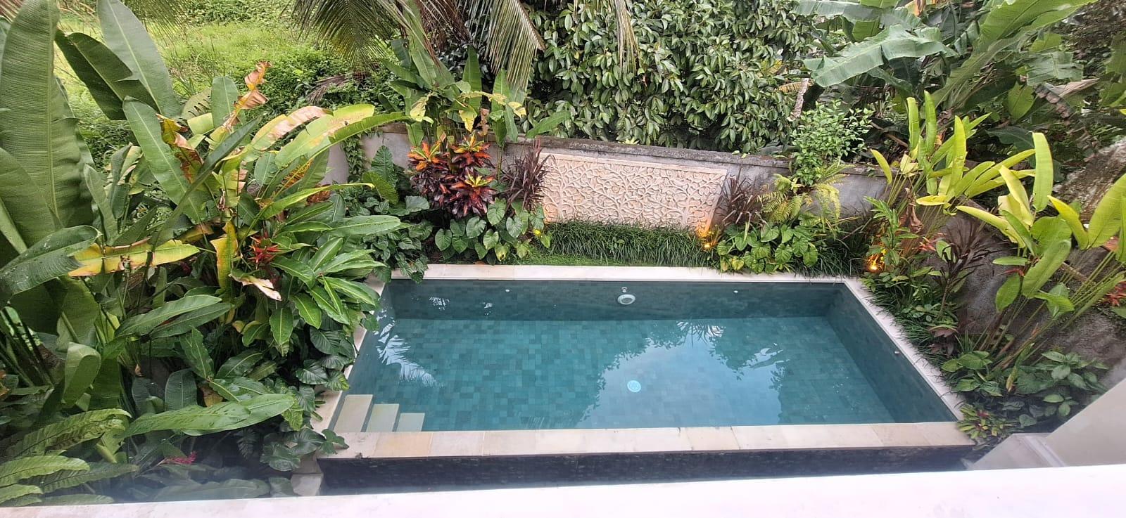 Tropical Villa with Private Pool in Kenderan, Ubud — photo 1