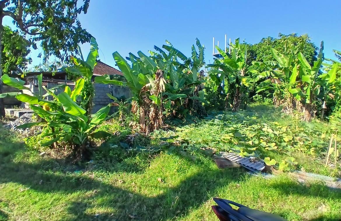 1,276 sqm freehold land with rice field views in Bumbak — photo 5