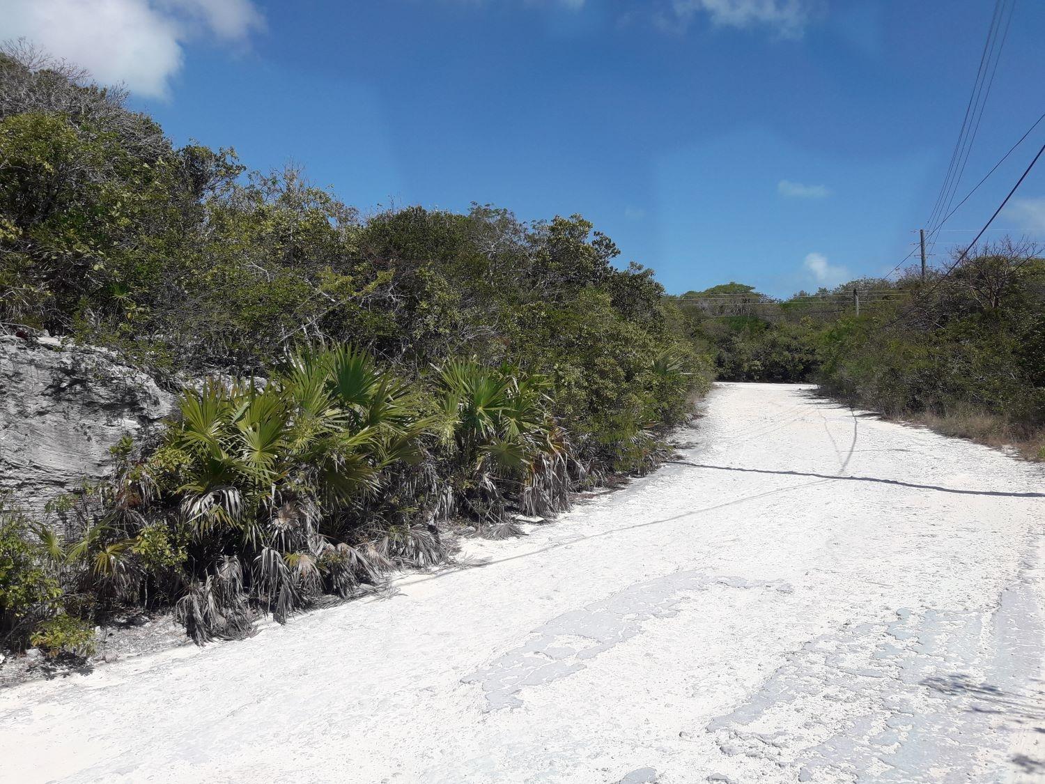 Bahamas Sound 14 Land Lot — photo 1