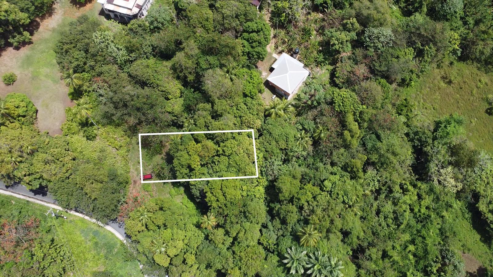 Excellent Residential Lot in Balata Priced for a Quick Sale — photo 1