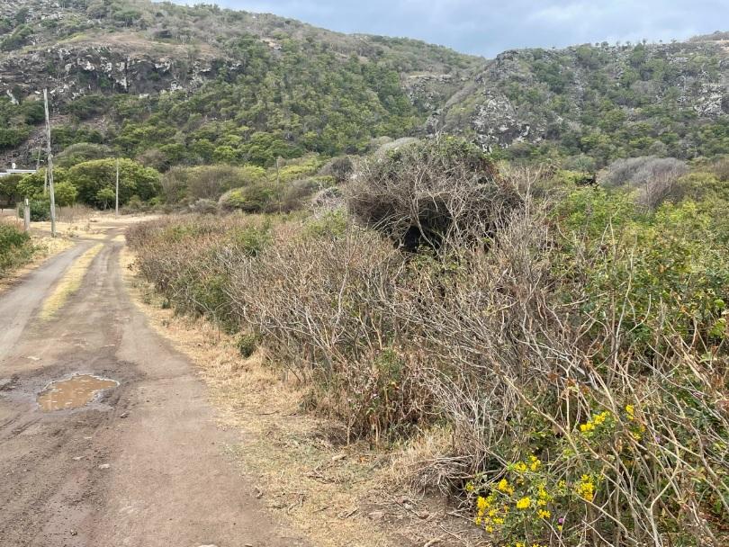 Sint Eustatius Oceanview 1.6 Acre Lot — photo 2