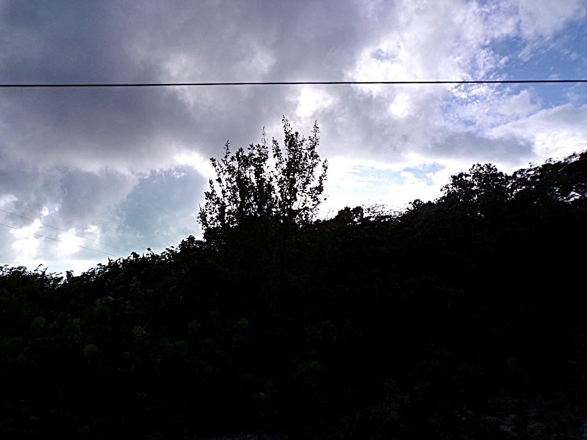 PLOT# 11 O’NEILS — photo 5