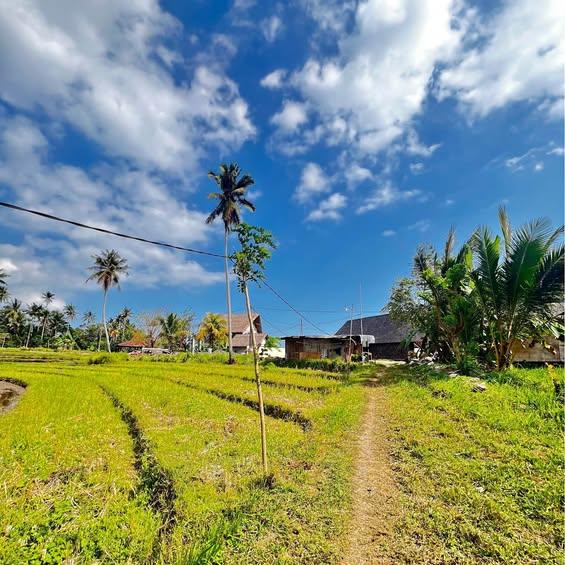 3-bedroom house in Selemadeg, Bali — photo 1