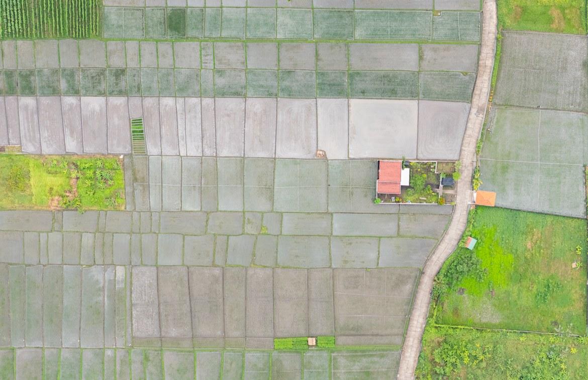 Tranquil Rice Field Land Near Beach in Kelating — photo 2