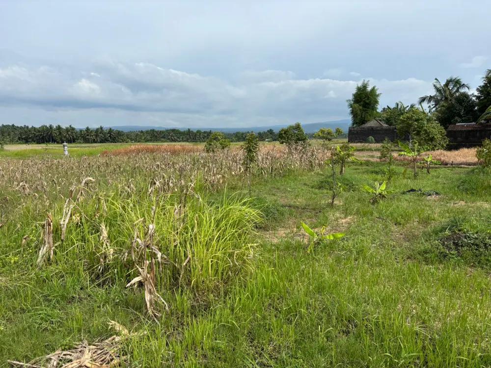 For Sale: Freehold Land 15 Are in Tabanan – Residential Zone (Yellow) — photo 5