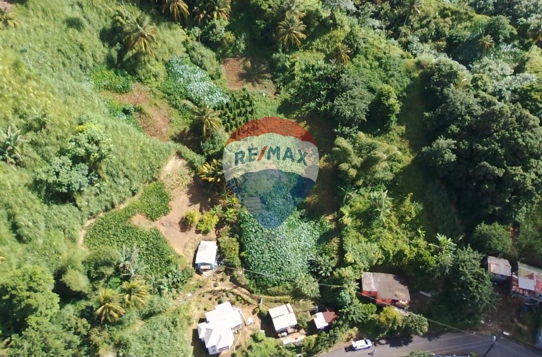 Rich Farm Lot or House Spot — photo 2