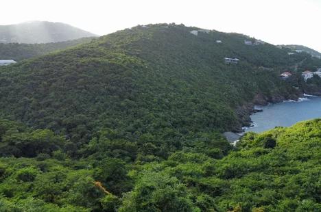Land for sale - C-2-f&c-5- Lovenlund Gns, St. Thomas — photo 1