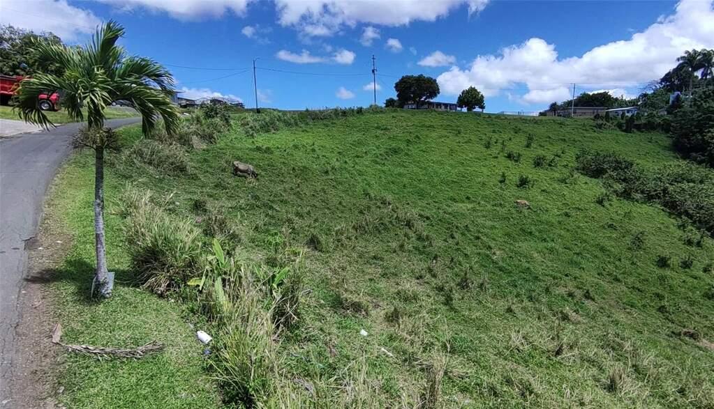 Residential land for sale in Barranquitas, Puerto Rico — photo 3