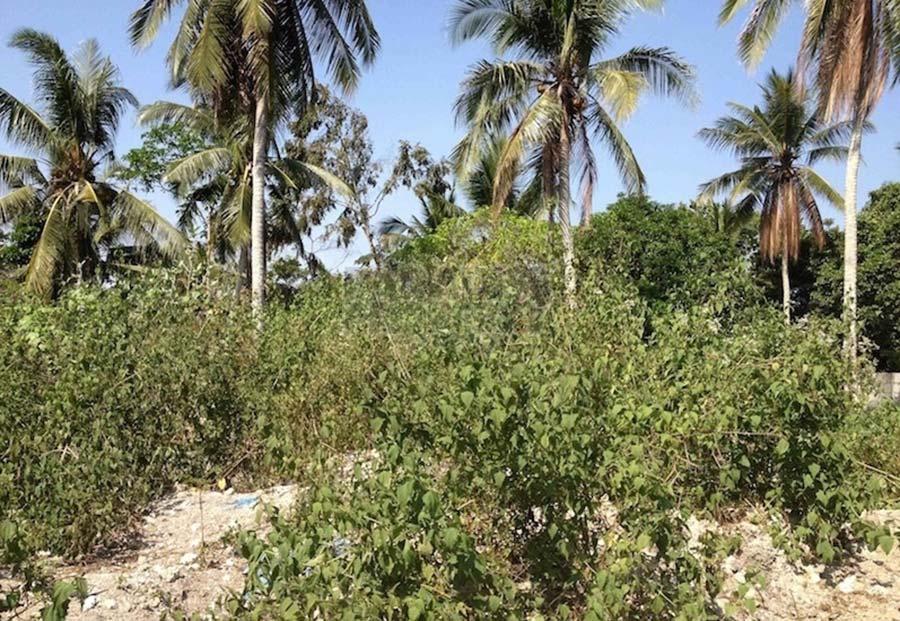 Exclusive Piece of Freehold Land for Sale – Nyanyi Beach — photo 3