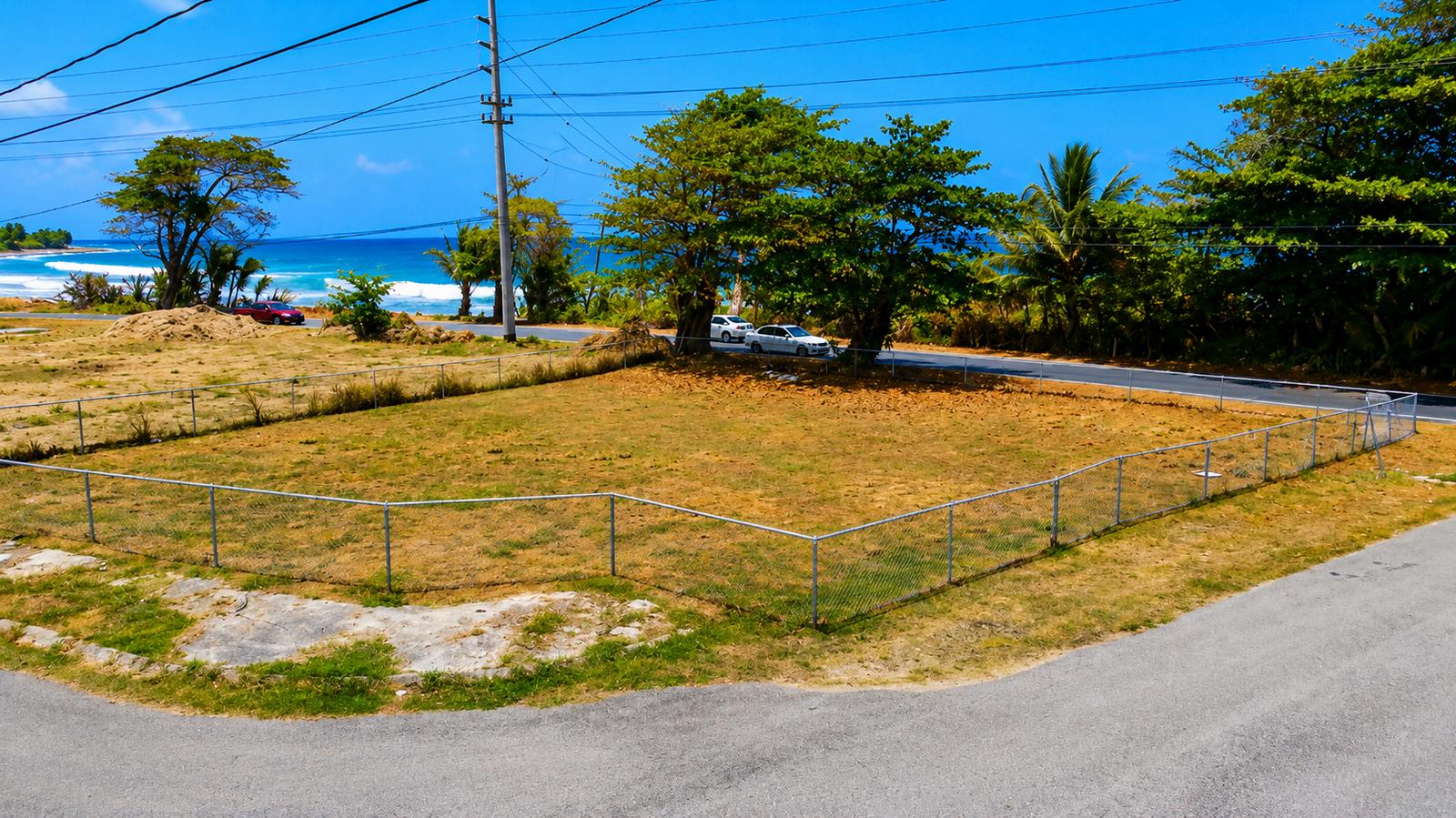 Flat oceanfront land lot for sale in Patillas, Puerto Rico — photo 2