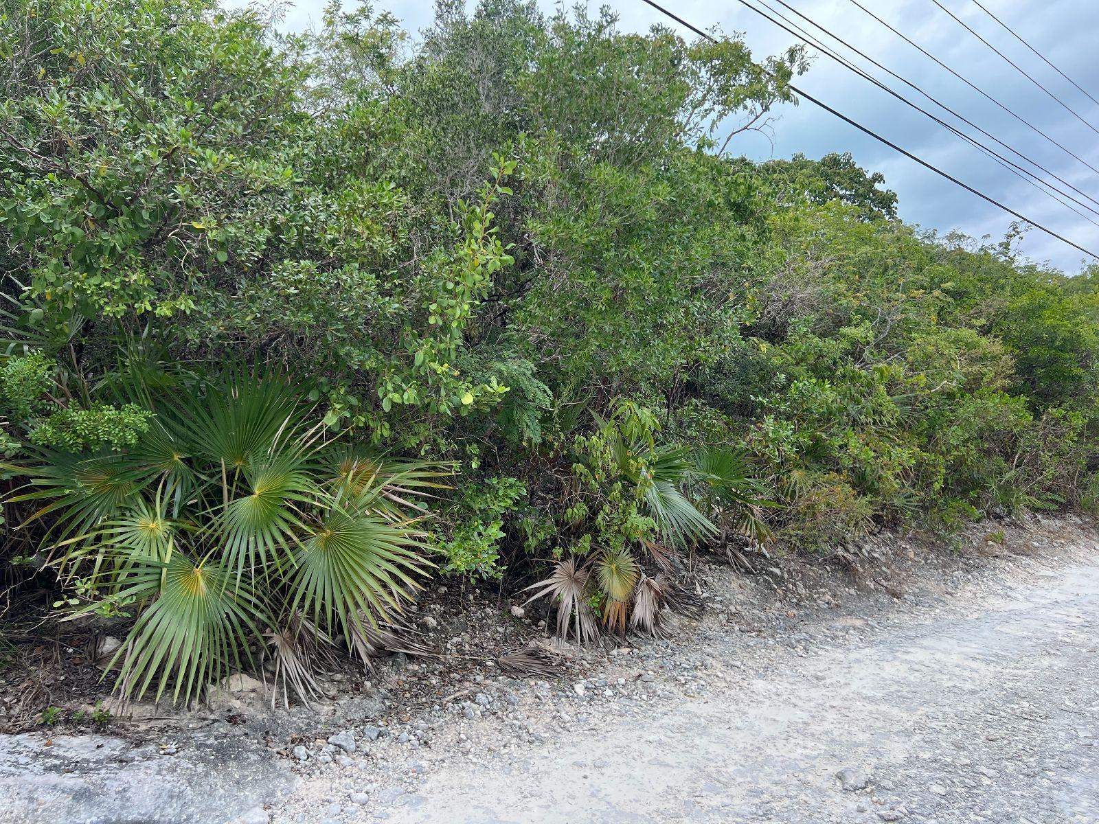 LOT 17292 BAHAMA SOUND 18 — photo 5