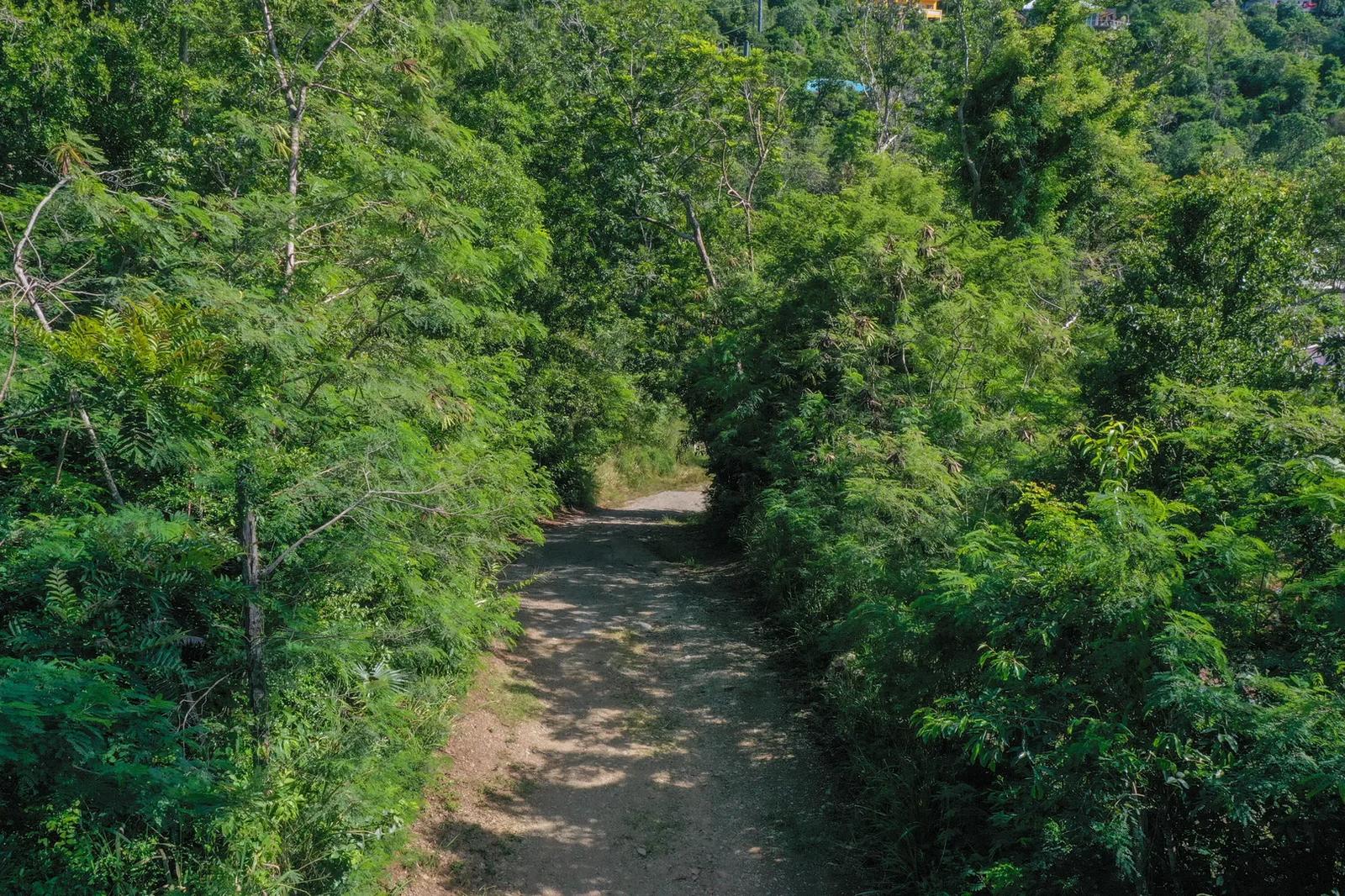 0.29 Acre Lot in St John Island — photo 2