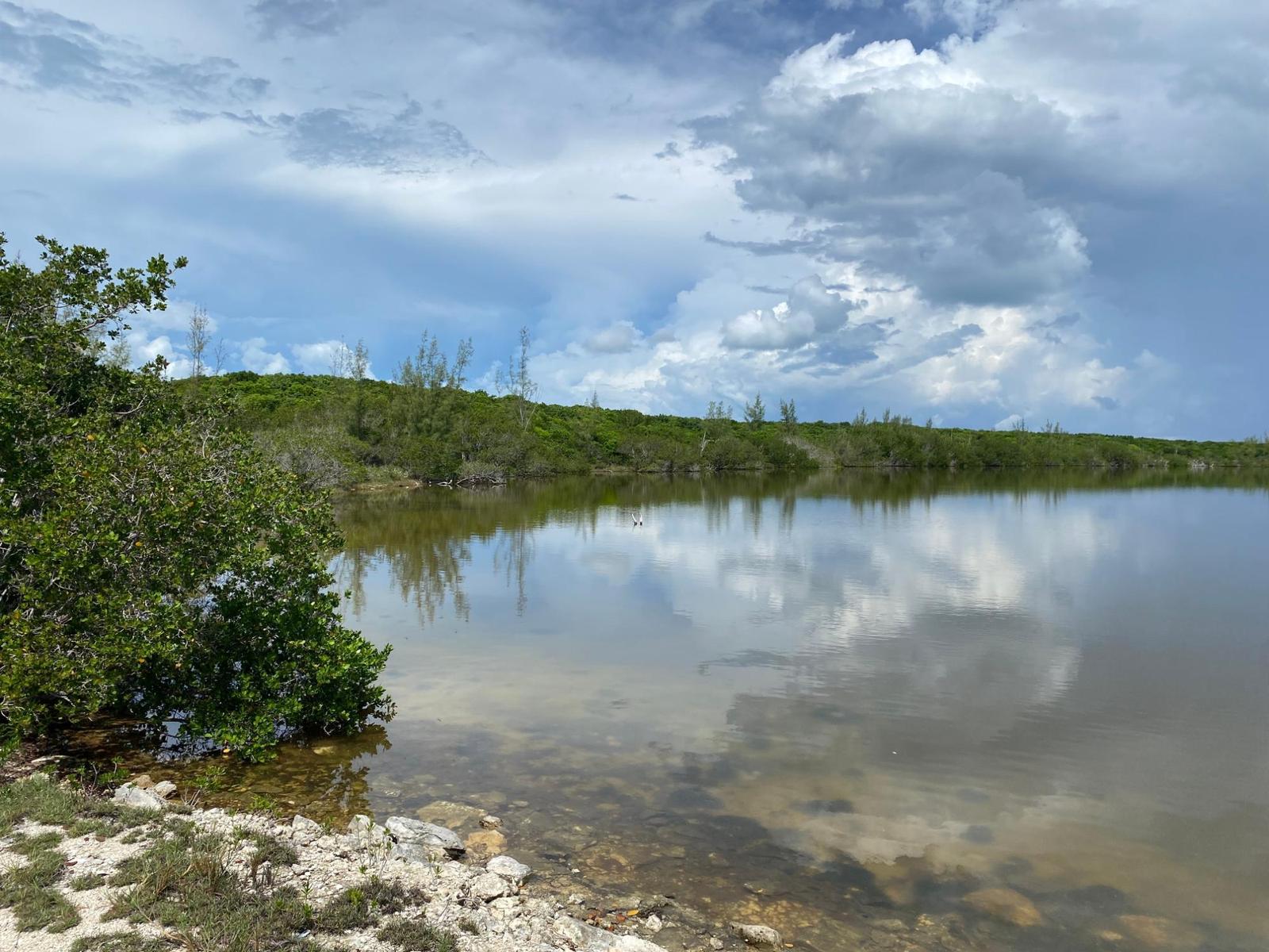 North Palmetto Point, Eleuthera, The Bahamas — photo 2