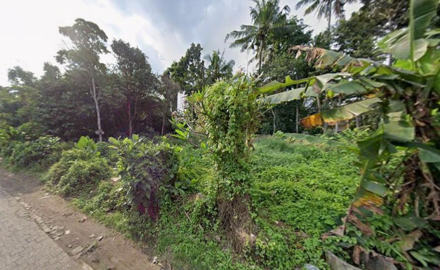 Premium Development Plot for Lease in Ubud — photo 3