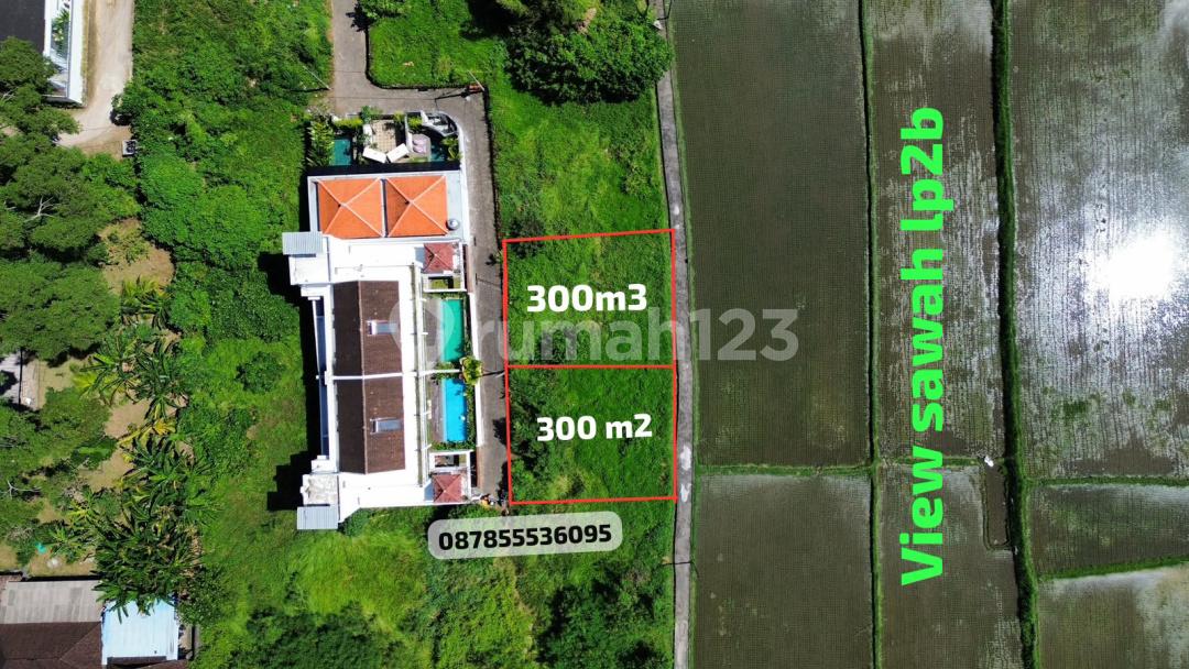 Cheap Land for Sale - Border of Tampaksiring & Tegallalang, Bali — photo 2