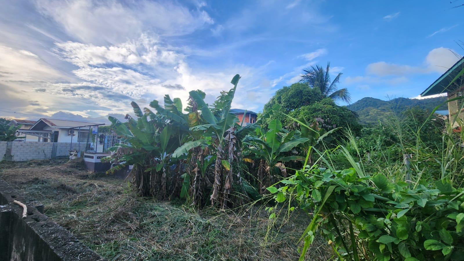 Tunapuna Land For Sale — photo 3