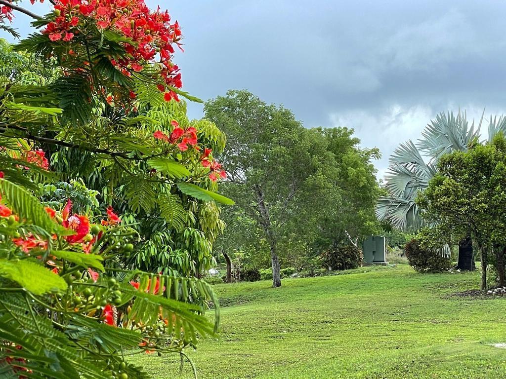 LYFORD HILLS Development Lot in Nassau, The Bahamas — photo 2