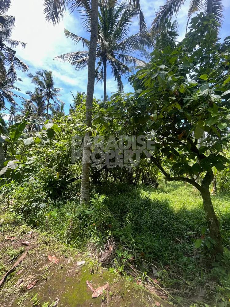 Prime Jungle Land for Sale Tabanan – Rare 80-Year Leasehold Opportunity — photo 5