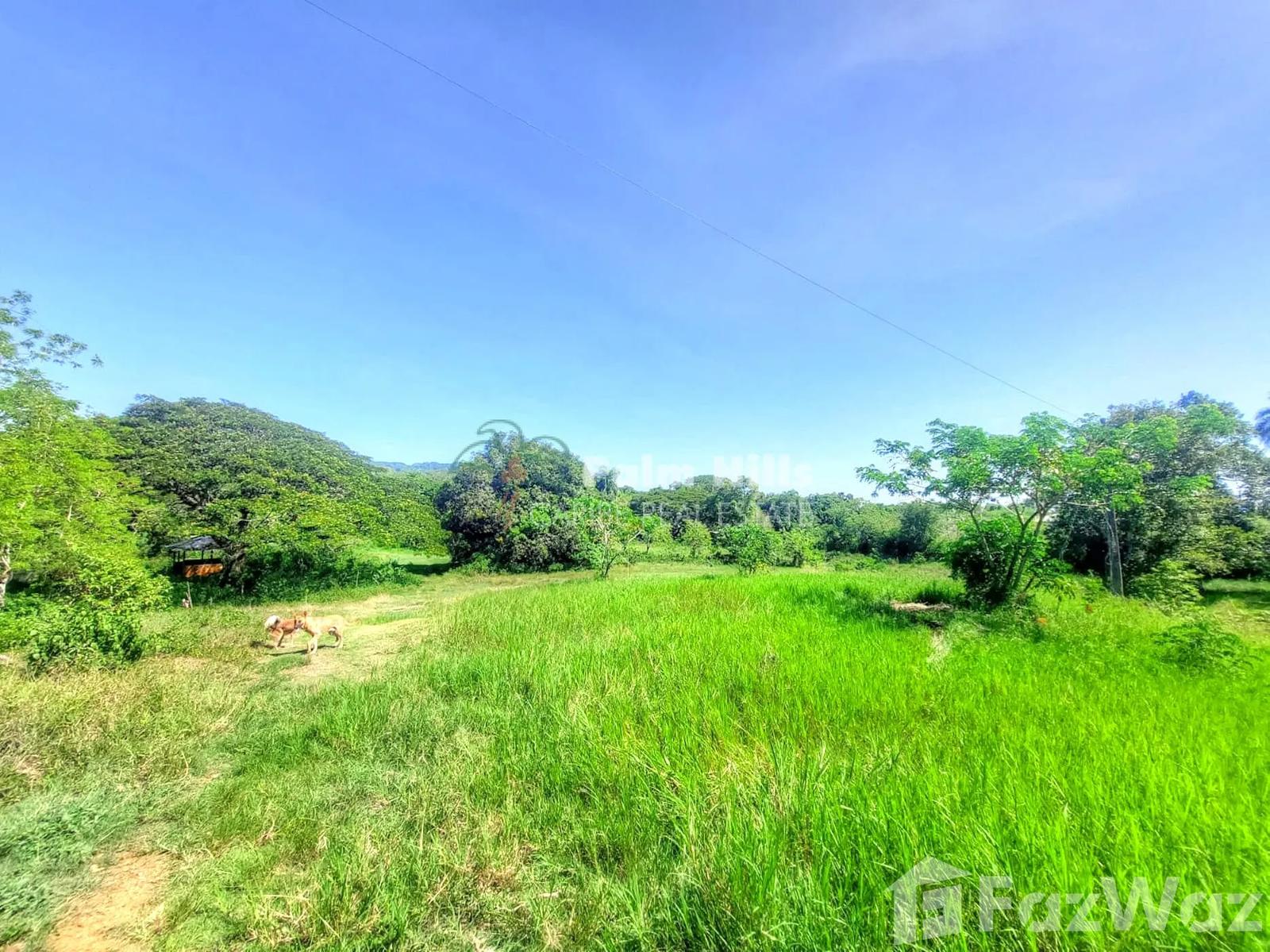 7-bedroom villa in Sabaneta de Yásica, Puerto Plata — photo 4