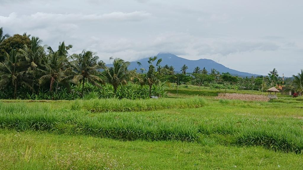 Peaceful Investment Land for Sale or Lease in Buahan, Payangan — photo 2