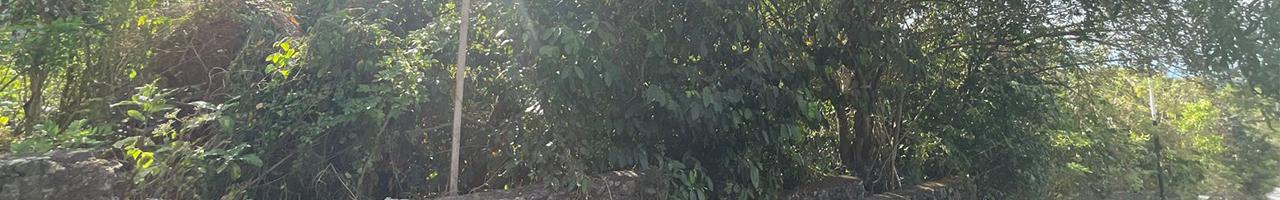 20 ARE Investment Opportunity in Balangan Near the Beaches - 2804 — photo 2