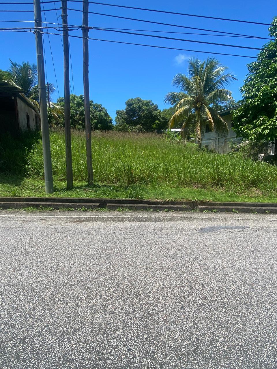 Land For Sale at Matura - Main Road Frontage — photo 5