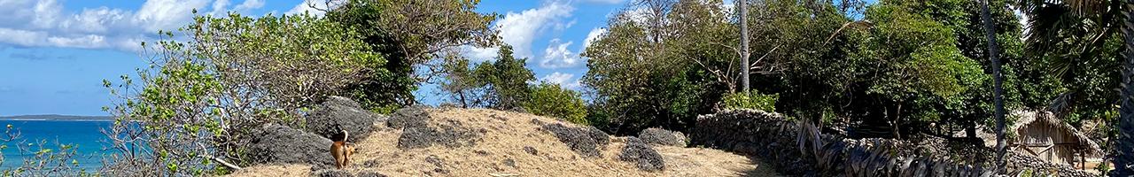 Rare 8,702 sqm Freehold Beachfront Plot on Rote Island: Exceptional Investment Potential — photo 2