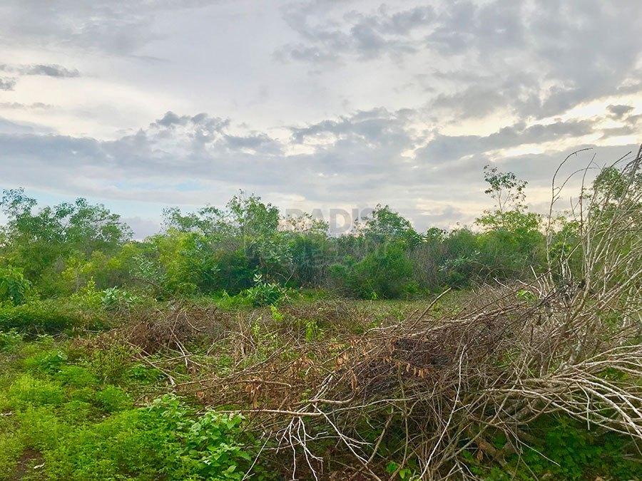 Perfect Freehold Land Plot for Sale in Jimbaran — photo 2