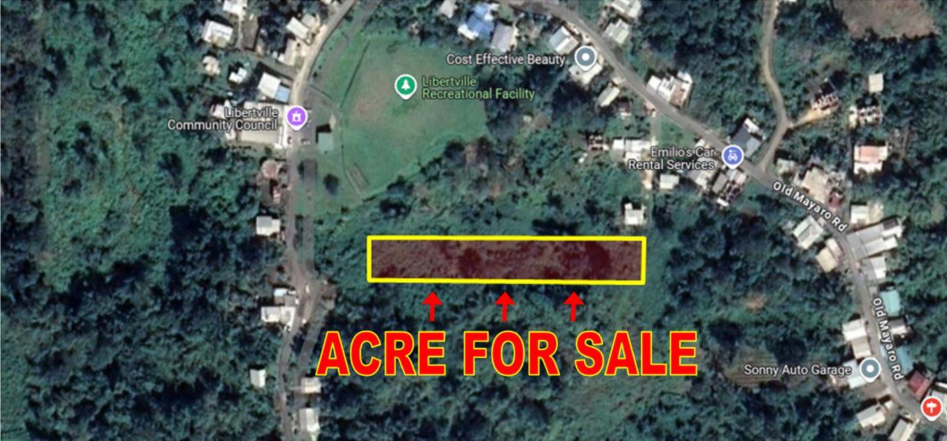 1 Acre of Rio Claro Agricultural land For Sale — photo 2