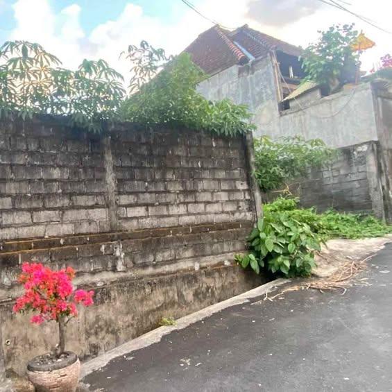 Studio house in Denpasar — photo 1