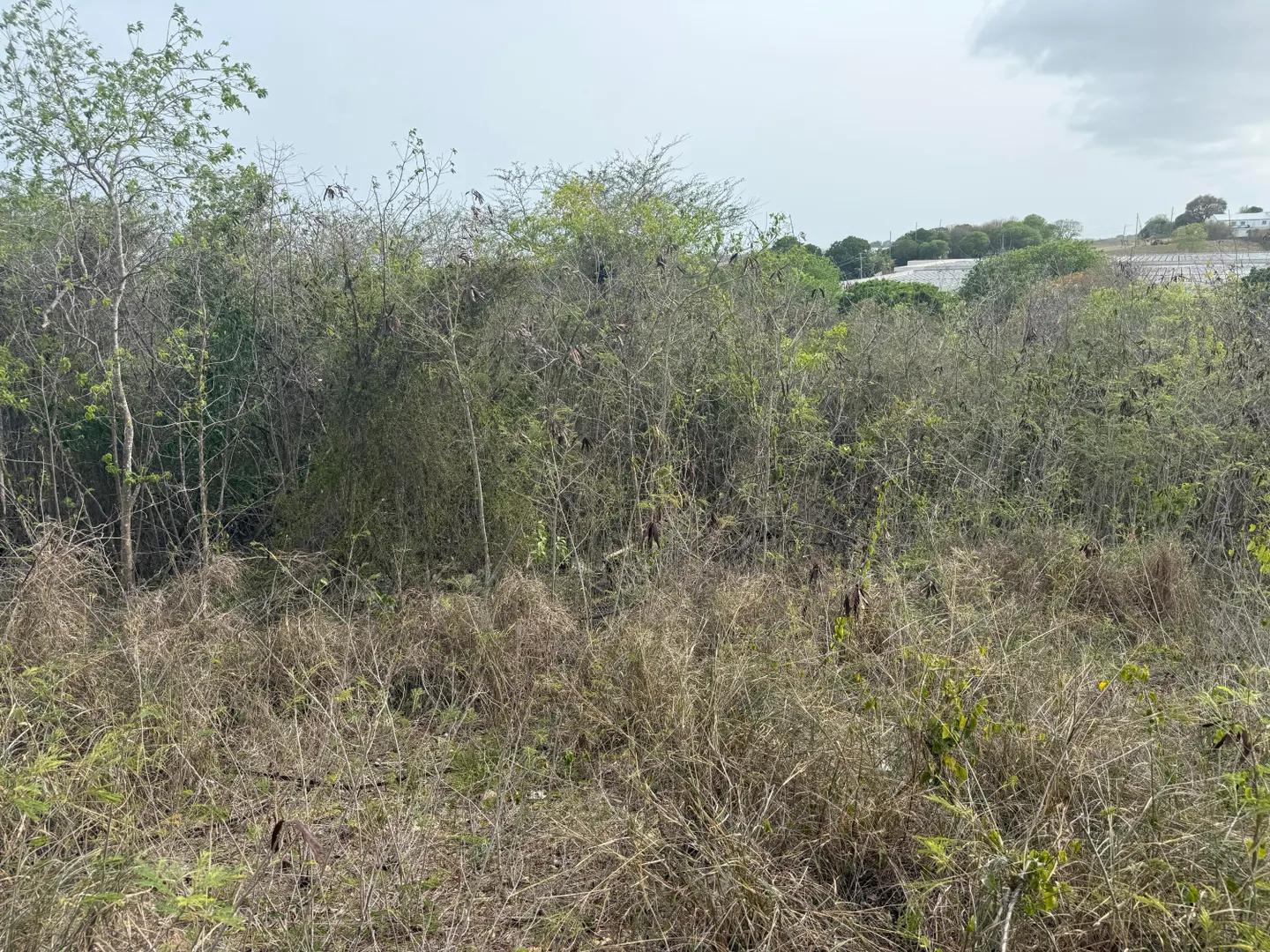 0.46 Acre Homesite Lot in Christiansted — photo 2