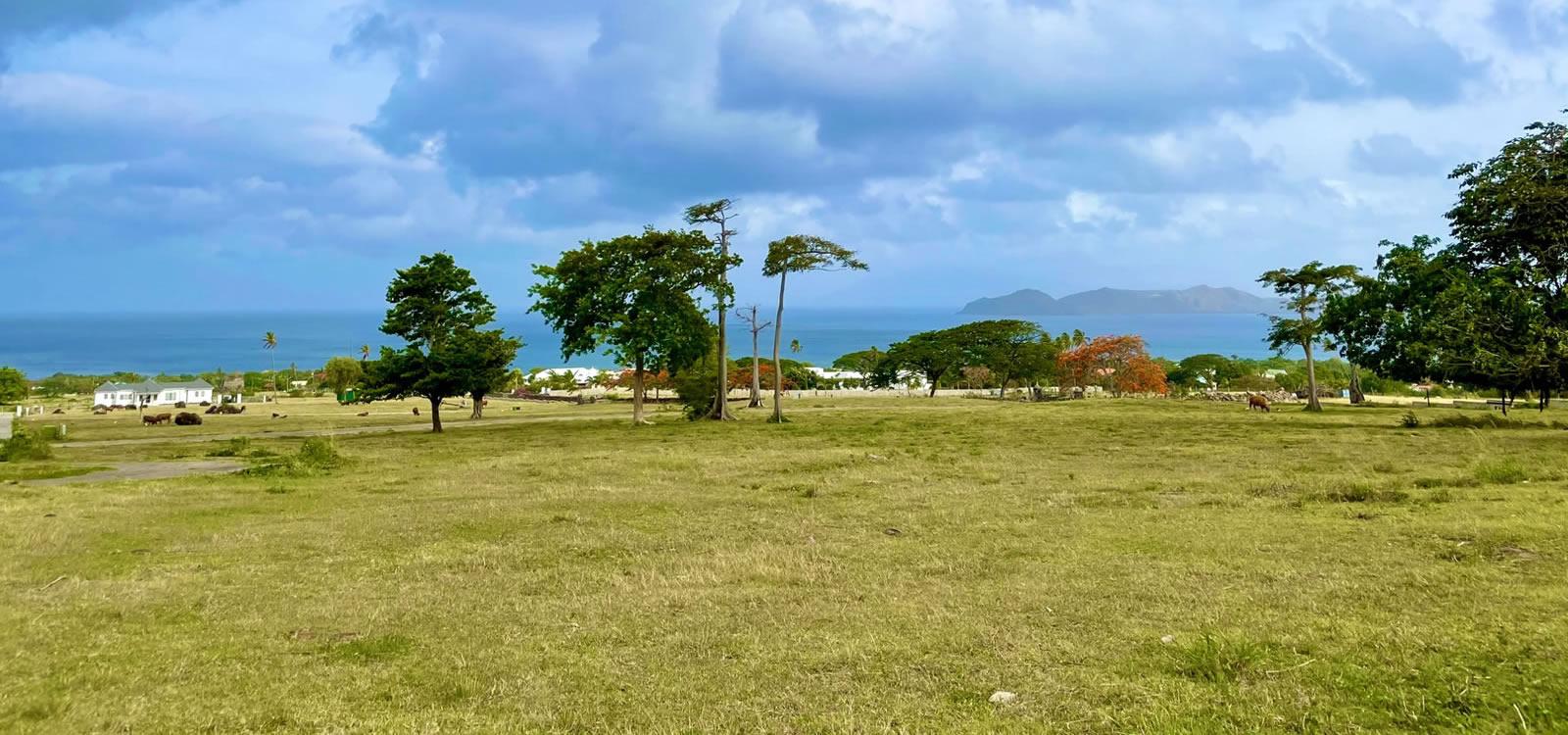 1 Acre Lots for Sale, Mill Side, Paradise Estates, Nevis — photo 1