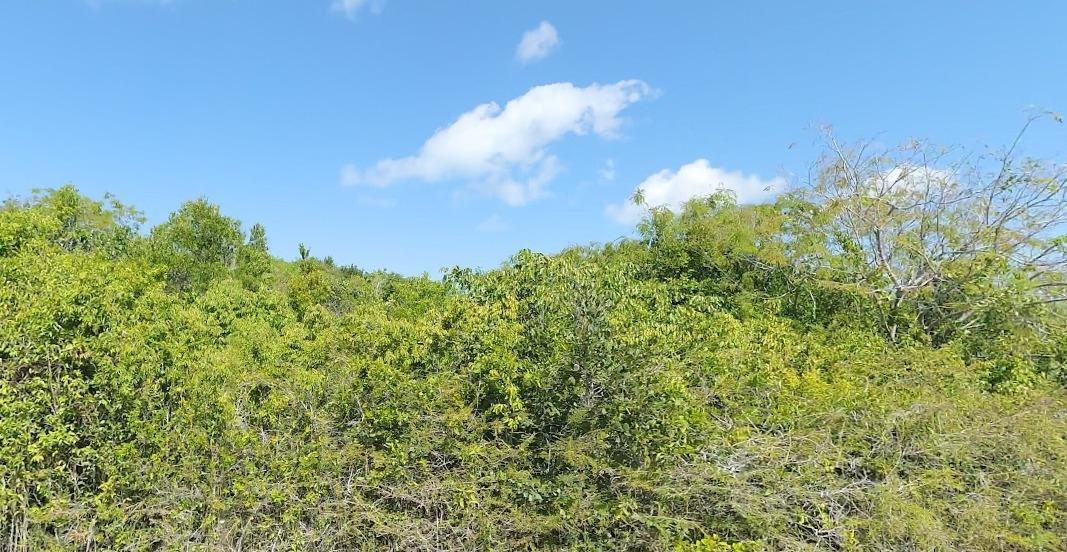 LOT 2, SAN SALVADOR — photo 3
