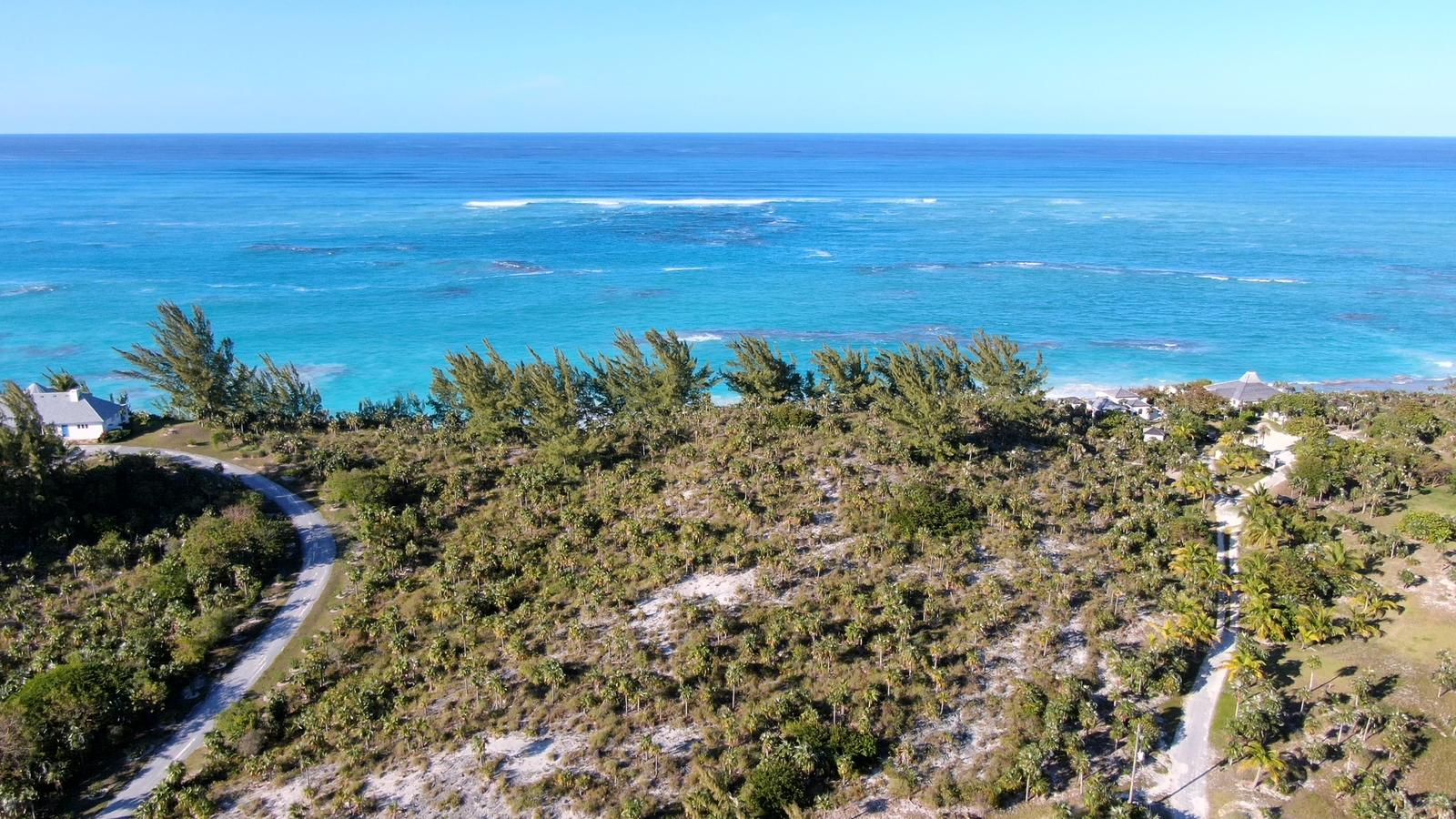 6.762 Acres of Land for Sale, Carey's Pond, Eleuthera, Bahamas — photo 4