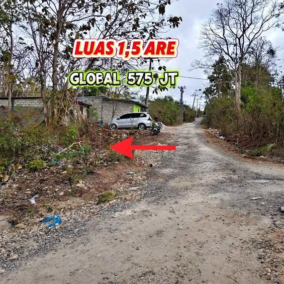 Studio house in Badung — photo 1