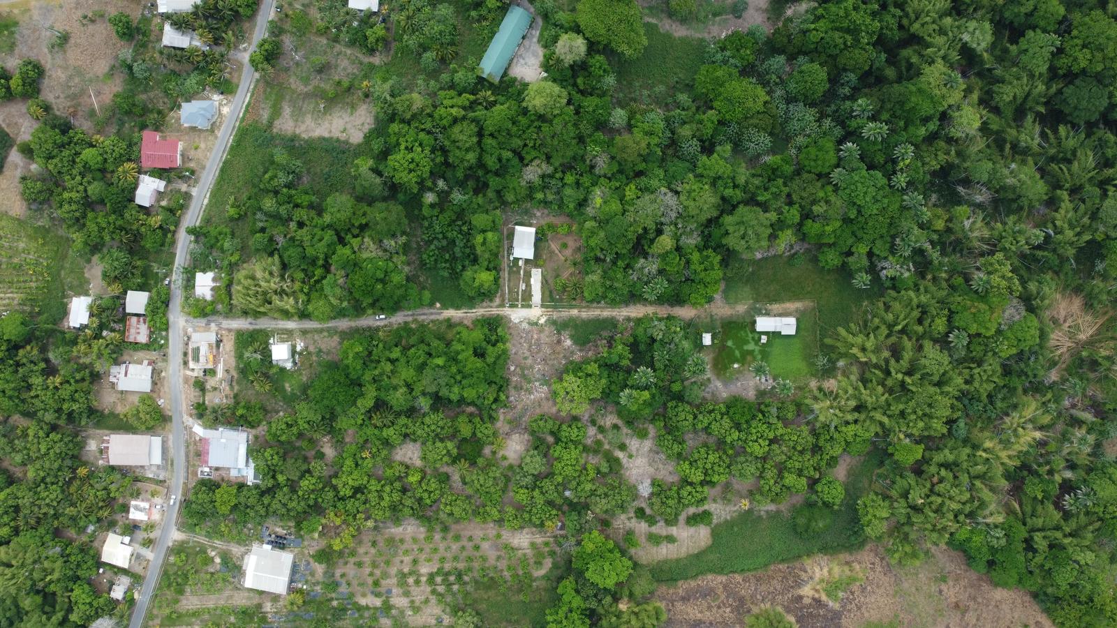 Residential Land For Sale at Manzanilla — photo 5