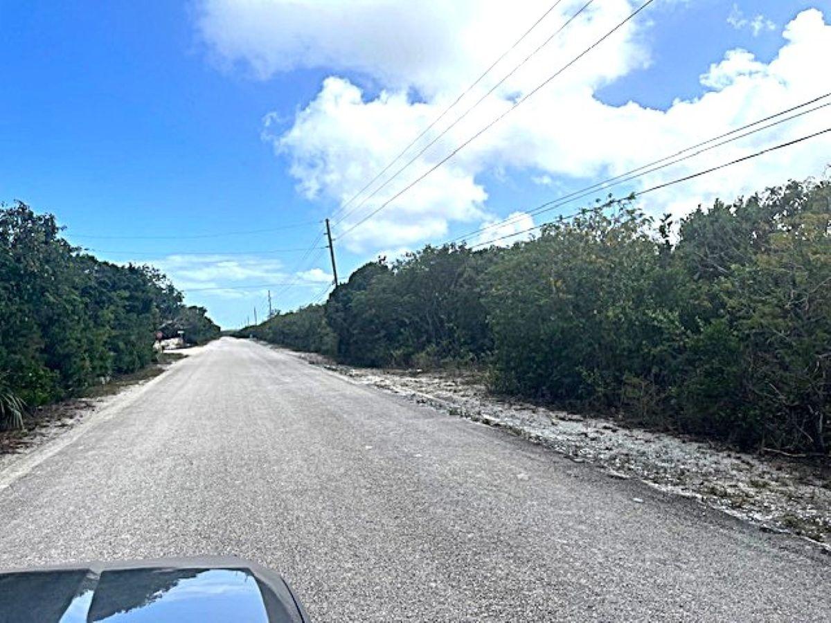 QUEEN’S HIGHWAY, MILEY — photo 2